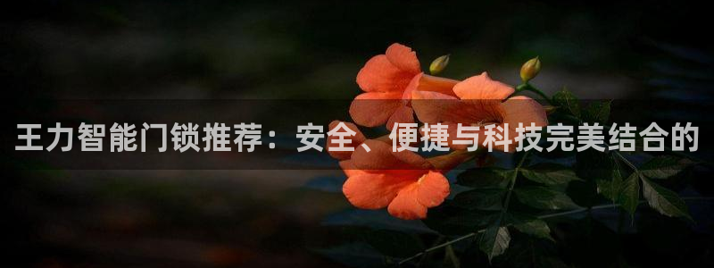 金年会金字招牌：王力智能门锁推荐：安全、便捷与科技完美结合的