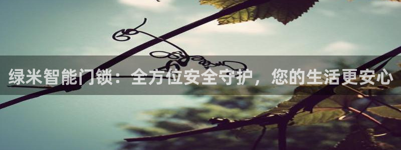 亚博金年会：绿米智能门锁：全方位安全守护，您的生活更安心