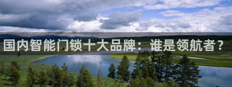 金年会体育官方：国内智能门锁十大品牌：谁是领航者？