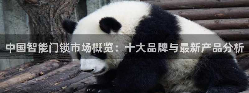 金年会娱乐app：中国智能门锁市场概览：十大品牌与最新产品分