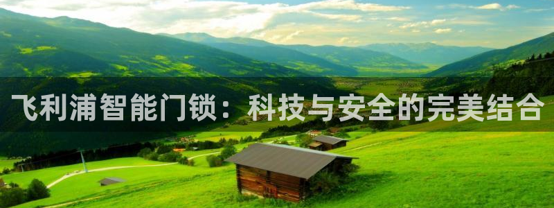 金年会今年会：飞利浦智能门锁：科技与安全的完美结合