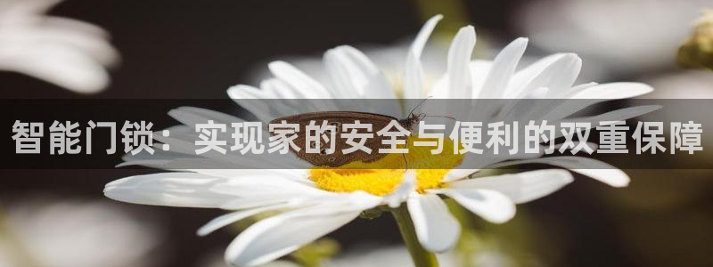 金年会赞助西甲：智能门锁：实现家的安全与便利的双重保障
