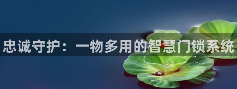 金年会在线入口：忠诚守护：一物多用的智慧门锁系统