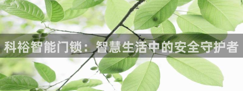 金年会体育平台官网：科裕智能门锁：智慧生活中的安全守护者