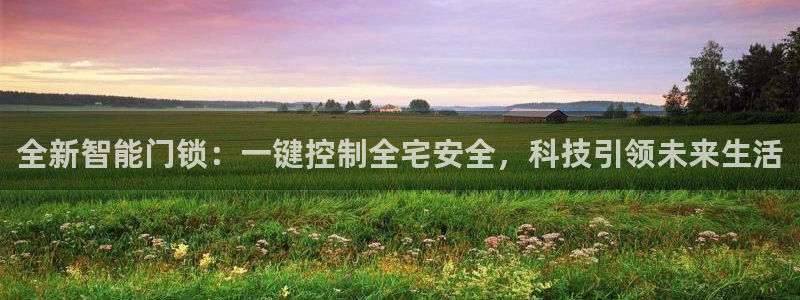 今年会金年会：全新智能门锁：一键控制全宅安全，科技引领未来生