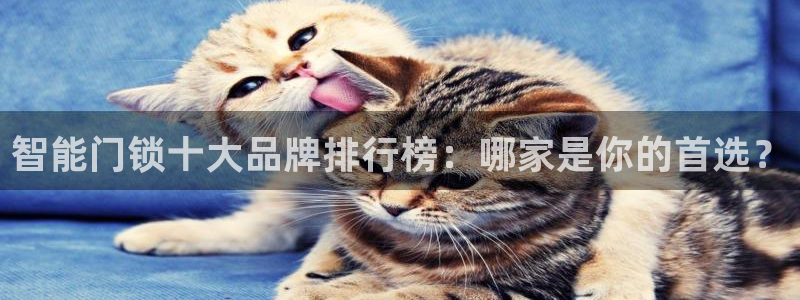 金年会拼音：智能门锁十大品牌排行榜：哪家是你的首选？