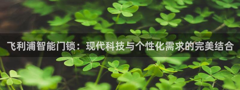 金年会电子游戏app：飞利浦智能门锁：现代科技与个性化需求的