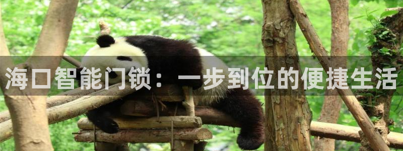 金年会体育平台入口：海口智能门锁：一步到位的便捷生活