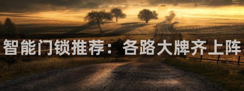 金年会体育平台入口：智能门锁推荐：各路大牌齐上阵