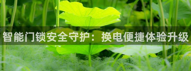 金年会.cc：智能门锁安全守护：换电便捷体验升级