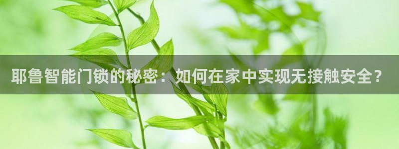 金年会官方入口：耶鲁智能门锁的秘密：如何在家中实现无接触安全