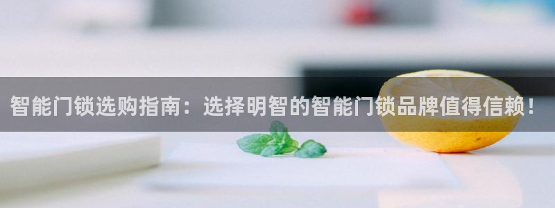 金年会体育：智能门锁选购指南：选择明智的智能门锁品牌值得信赖