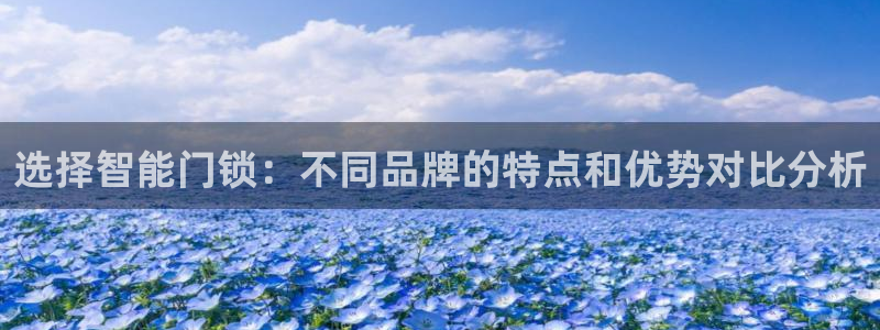 金年会信誉：选择智能门锁：不同品牌的特点和优势对比分析