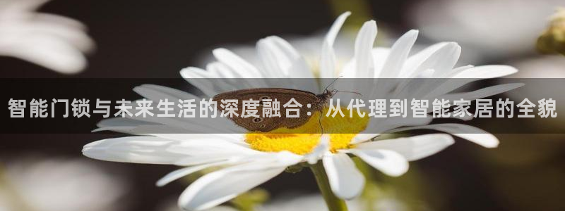 金年会开户：智能门锁与未来生活的深度融合：从代理到智能家居的