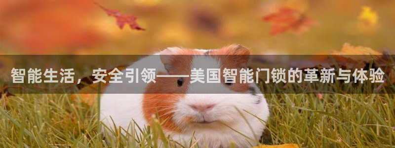 金年会活动：智能生活，安全引领——美国智能门锁的革新与体验
