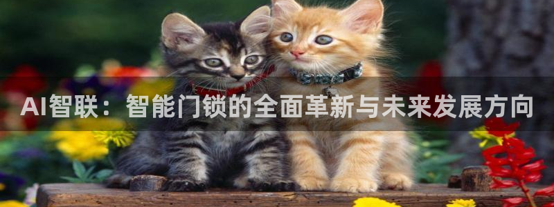 金年会注册官网：AI智联：智能门锁的全面革新与未来发展方向