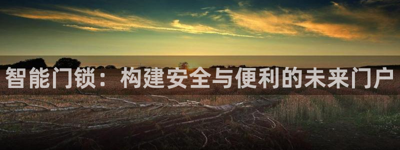 金年会6766：智能门锁：构建安全与便利的未来门户