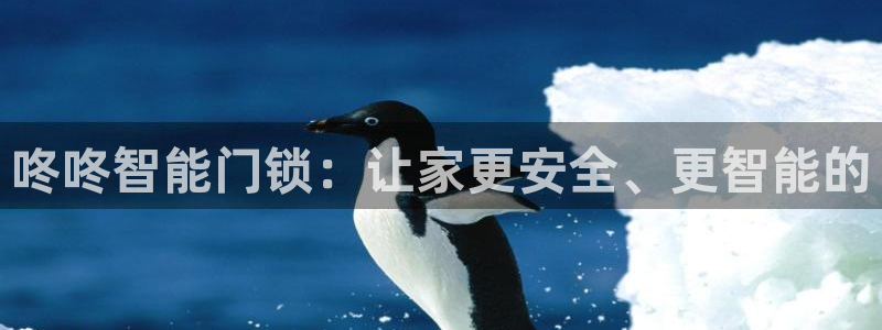 金年会游戏官网：咚咚智能门锁：让家更安全、更智能的
