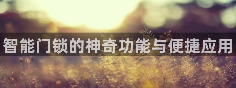 金顶年会：智能门锁的神奇功能与便捷应用