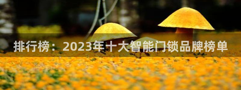 金年会APP下载：排行榜：2023年十大智能门锁品牌榜单