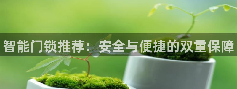 金年会ios下载：智能门锁推荐：安全与便捷的双重保障