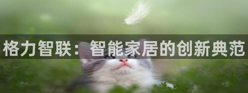 澳门与金年会的关系：格力智联：智能家居的创新典范