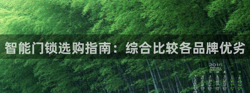 金联金年会：智能门锁选购指南：综合比较各品牌优劣