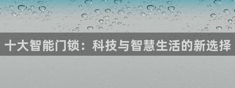 金年会网页：十大智能门锁：科技与智慧生活的新选择