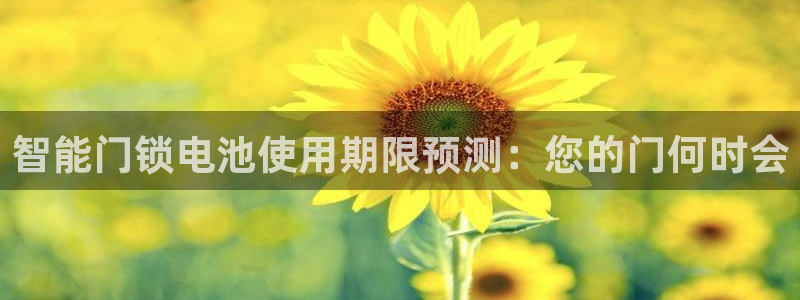 金年会不给提现：智能门锁电池使用期限预测：您的门何时会