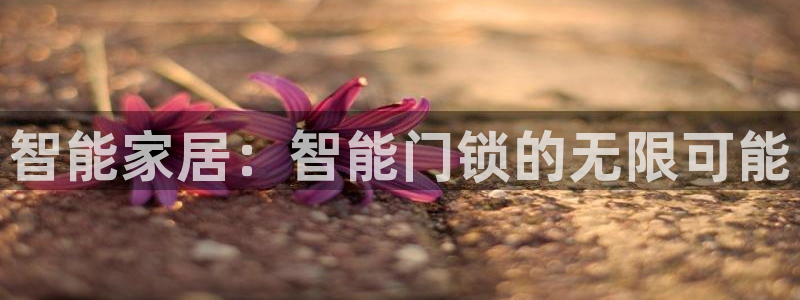 金年会综合APP：智能家居：智能门锁的无限可能