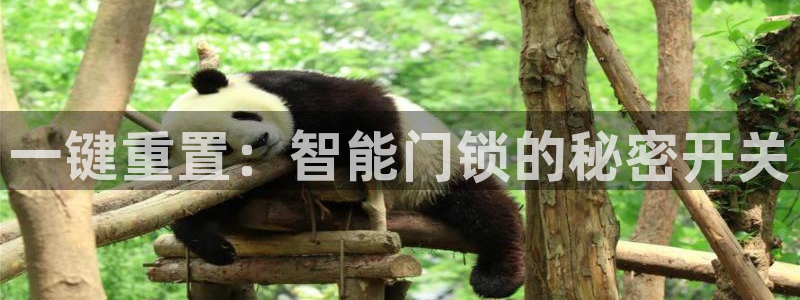 金年会手机app：一键重置：智能门锁的秘密开关