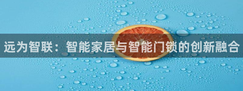 金年会手机app：远为智联：智能家居与智能门锁的创新融合