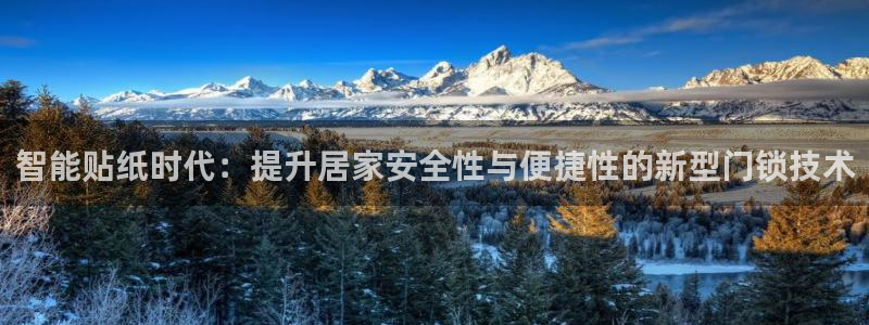 金年会体育官方：智能贴纸时代：提升居家安全性与便捷性的新型门
