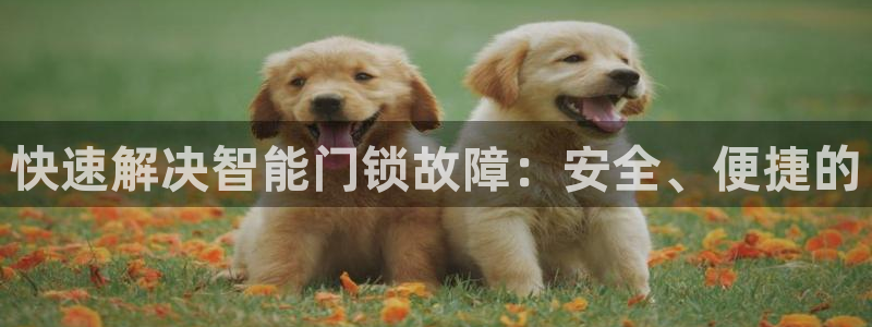 金年会网页：快速解决智能门锁故障：安全、便捷的