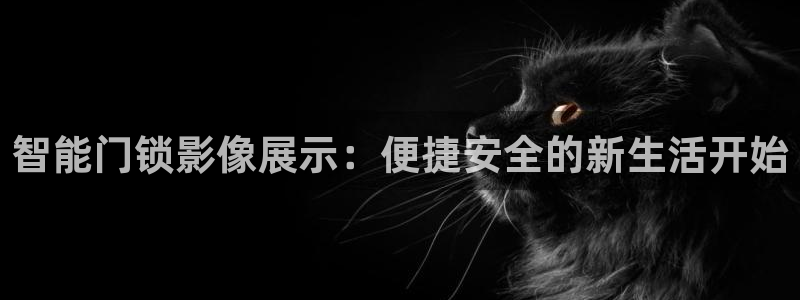 金吉年会：智能门锁影像展示：便捷安全的新生活开始