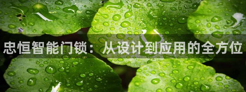 金年会登录：忠恒智能门锁：从设计到应用的全方位