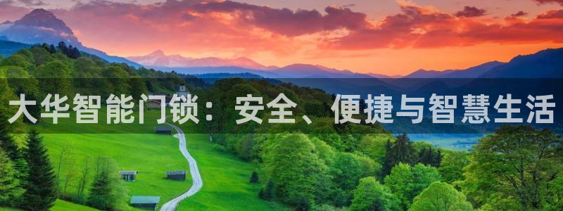 金年会黑网：大华智能门锁：安全、便捷与智慧生活