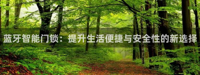 金年会ios下载：蓝牙智能门锁：提升生活便捷与安全性的新选择