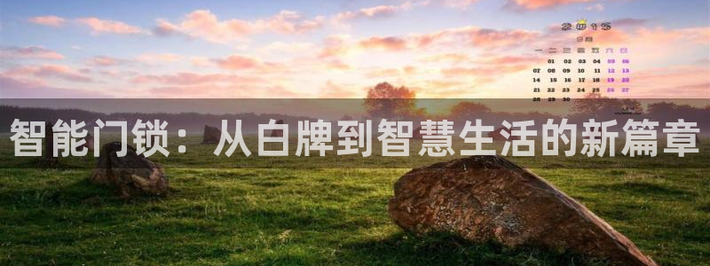金年会信誉：智能门锁：从白牌到智慧生活的新篇章