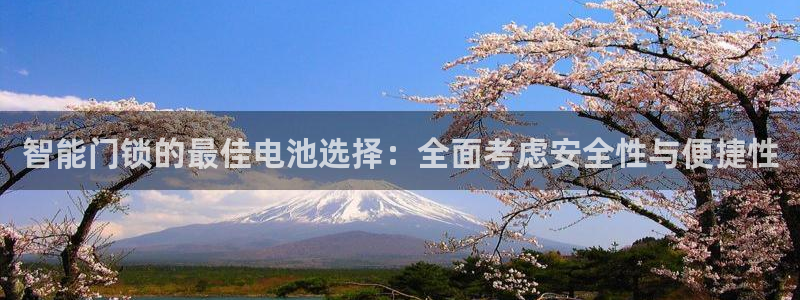 金年会体育官方：智能门锁的最佳电池选择：全面考虑安全性与便捷