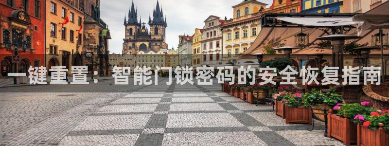 金年会官方入口：一键重置：智能门锁密码的安全恢复指南