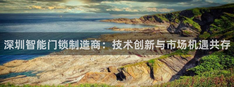 金年会体育官方网站入口：深圳智能门锁制造商：技术创新与市场机