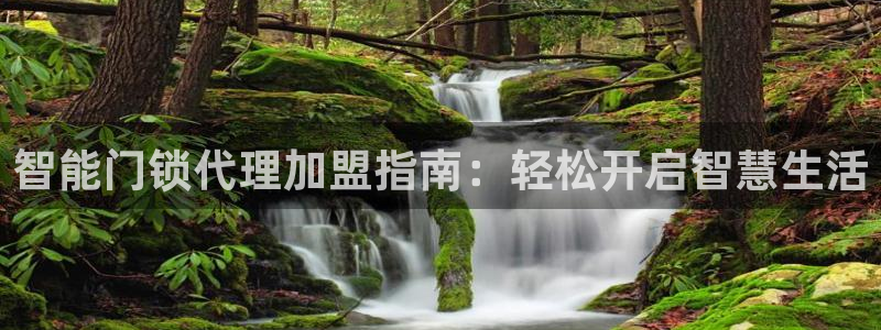 金年会会：智能门锁代理加盟指南：轻松开启智慧生活
