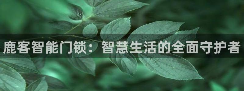 金年会金字招牌诚信：鹿客智能门锁：智慧生活的全面守护者