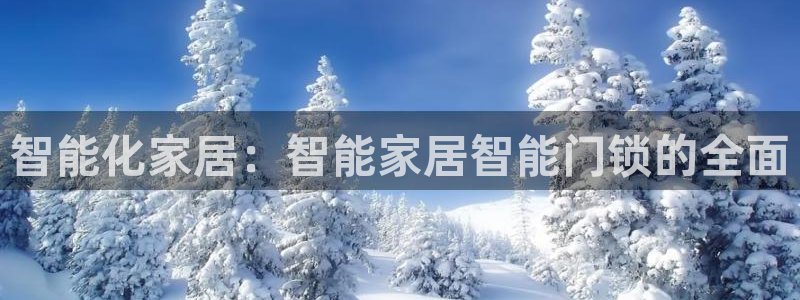 金年会com：智能化家居：智能家居智能门锁的全面