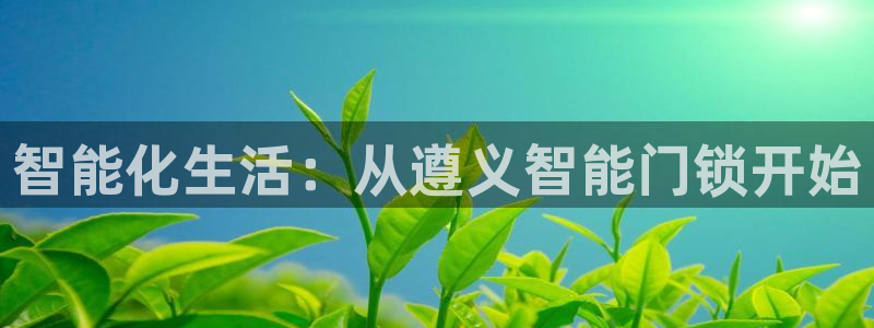 金年会赌博：智能化生活：从遵义智能门锁开始