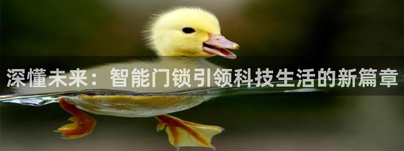 金年会官方客服电话：深懂未来：智能门锁引领科技生活的新篇章