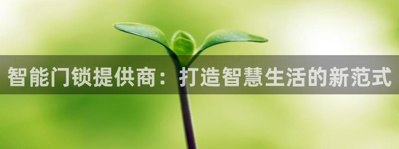 金年会娱乐app：智能门锁提供商：打造智慧生活的新范式