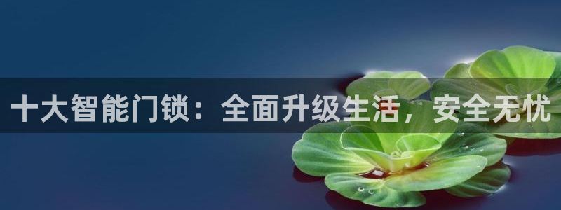 类似金年会：十大智能门锁：全面升级生活，安全无忧