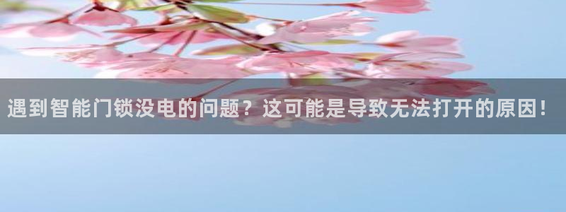 类似金年会：遇到智能门锁没电的问题？这可能是导致无法打开的原